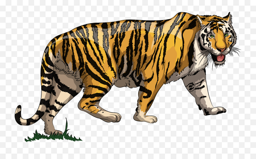 Free Tiger Cliparts Download Free Clip - Tiger Clipart Emoji,Tiger Clipart