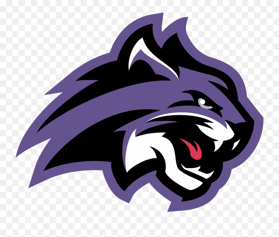 Claw Marks Png - Wildcats Claw Transparent Wildcats Claw Karla Veronica Ramirez Flores Emoji,Claw Marks Png