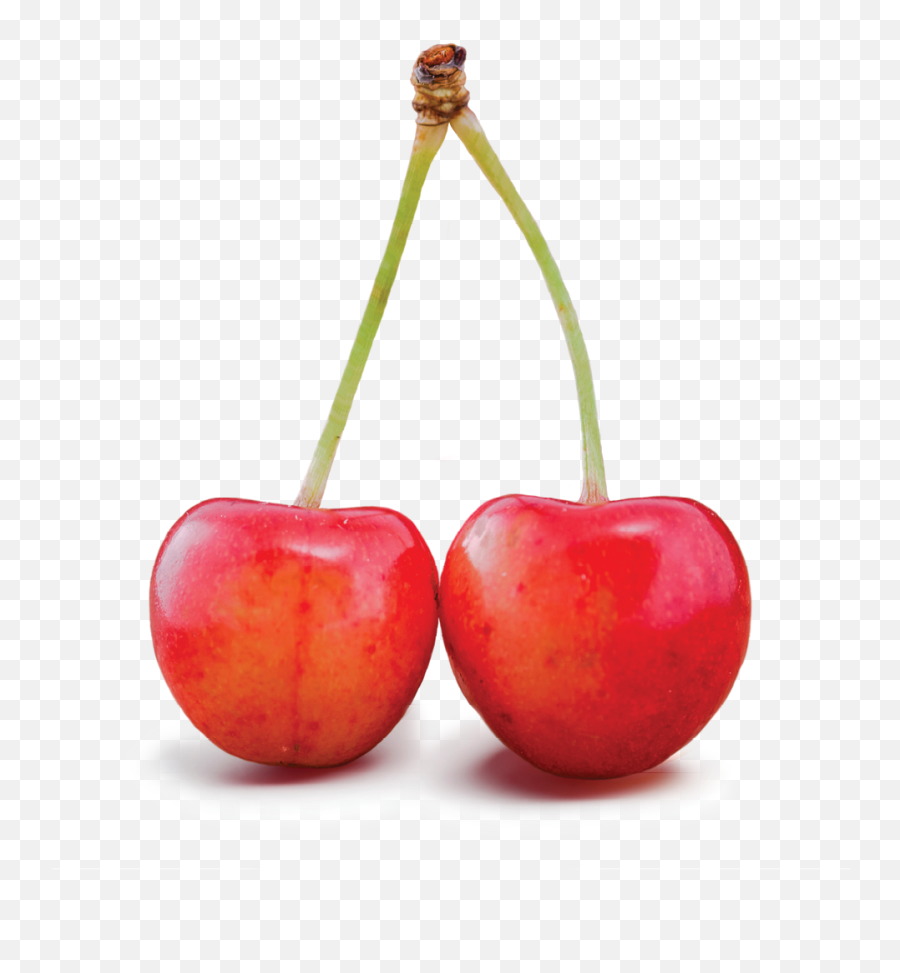 Cherries Gee Whiz - Cherry Red Colour Fruit Emoji,Cherries Png