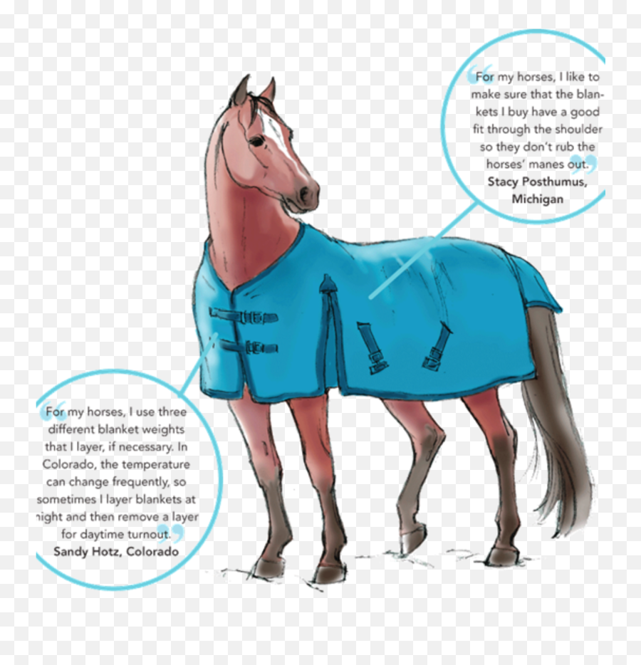 The Ultimate Winter Gear Guide - Dressage Today Fantasy Horse Winter Gear Emoji,Winter Png