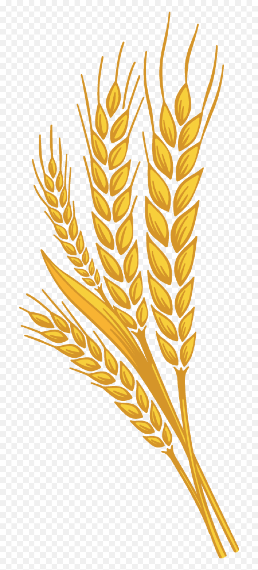 Wheat Png Wheat Transparent Background - Wheat Grain Clipart Png Emoji,Wheat Logo
