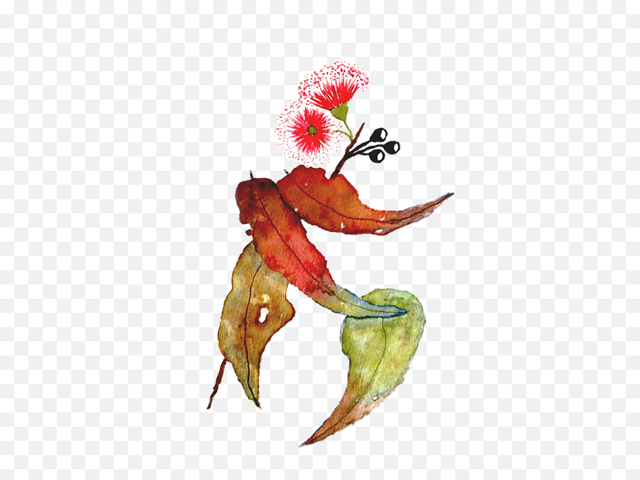 Eucalyptus Camaldulensis Painting In Transition Still Life Emoji,Transition Clipart