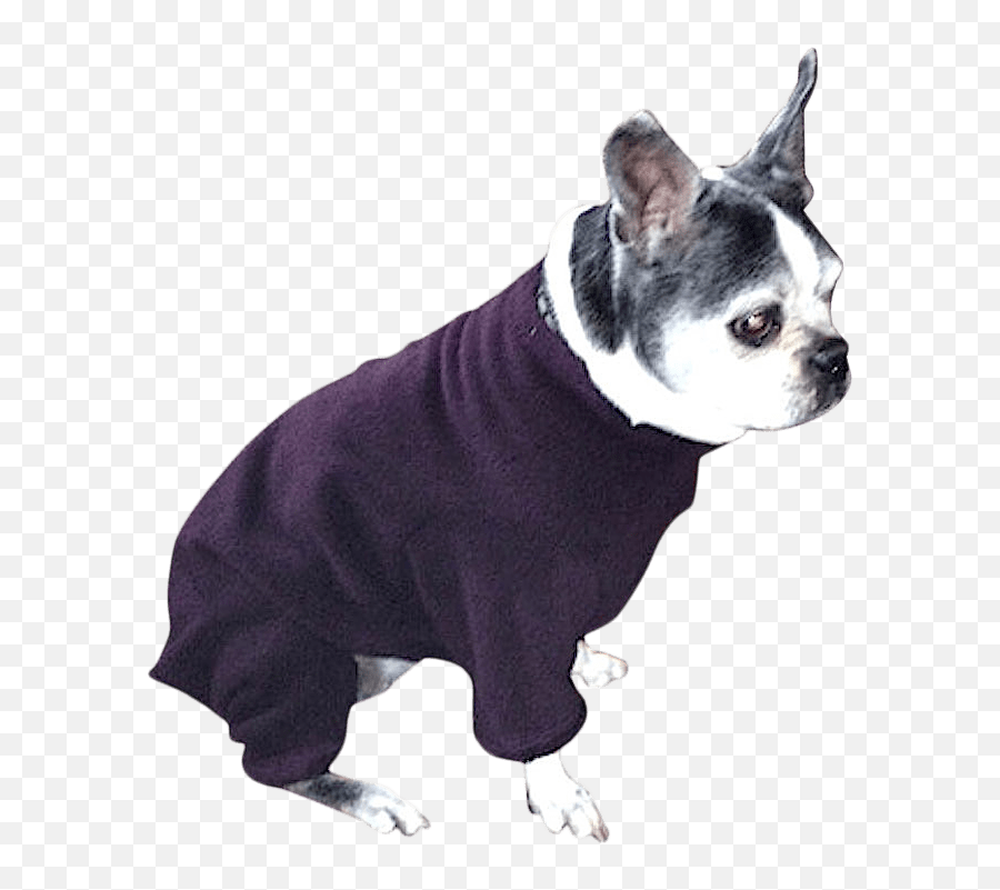 Pug Boston Terrier U0026 French Bulldog Heavy Fleece Bodysuit Emoji,Boston Terrier Png