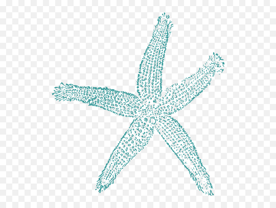 Teal Starfish - Turquoise Starfish Clip Art Emoji,Starfish Clipart