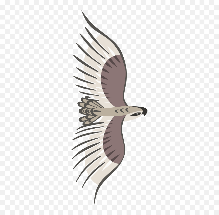 Golden Eagle Png Clip Art Golden Eagle - Top View Of Bird Wings Emoji,Eagle Clipart Free