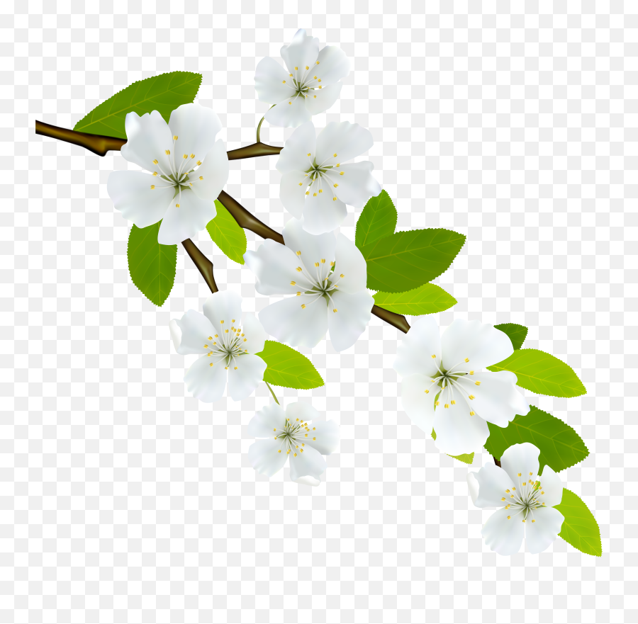 White Flowers Png Download Emoji,White Flower Png