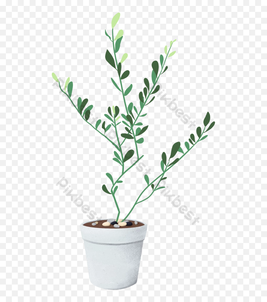 Olive Potted Plant - Myrtle Emoji,Potted Plant Png