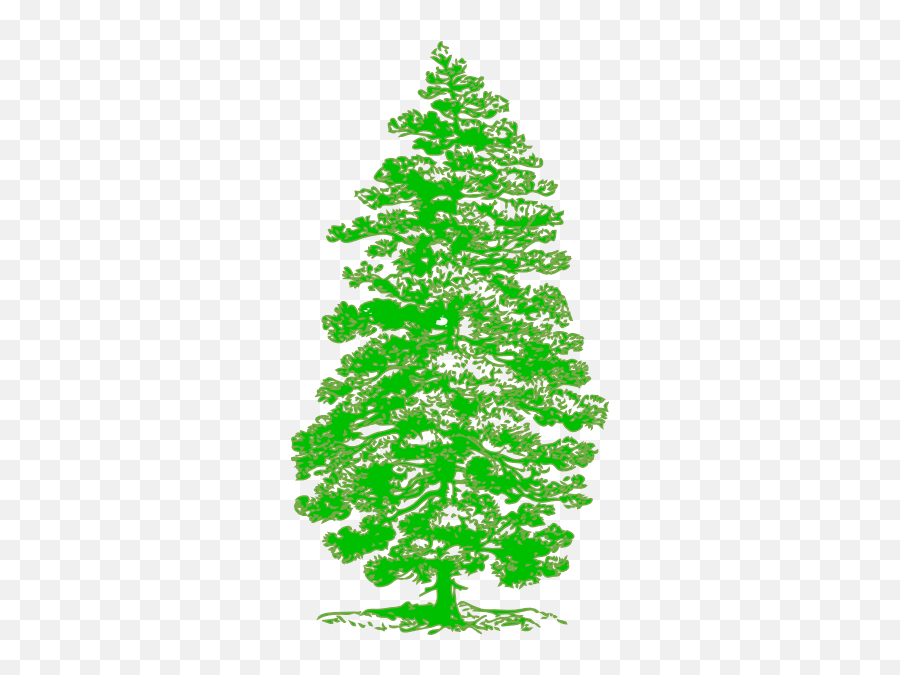 Tattoo Free Oak Tree Clip Art - Parts Of A Pine Tree Eastern White Pine Tree Free Vector Emoji,Oak Tree Clipart