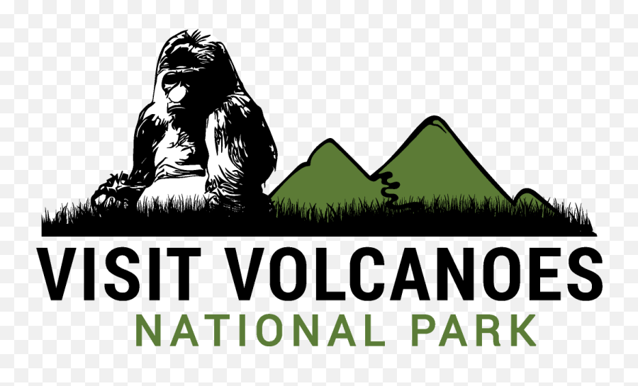 Gorilla Information Visit Volcanoes National Park - Iiga Emoji,Gorilla Group Logo