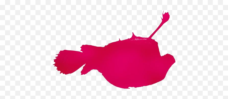 Colorful Angler Fish Png Clipart Pngimagespics - Language Emoji,Fish Food Clipart