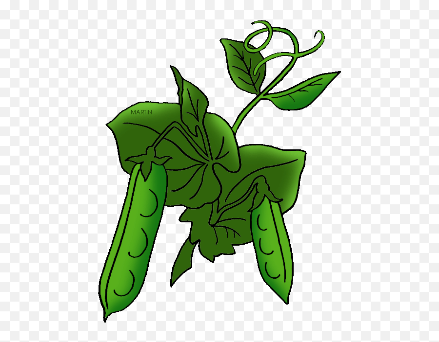 Vegetables Clip Art By Phillip Martin Pea Plant Emoji,Shrubs Clipart