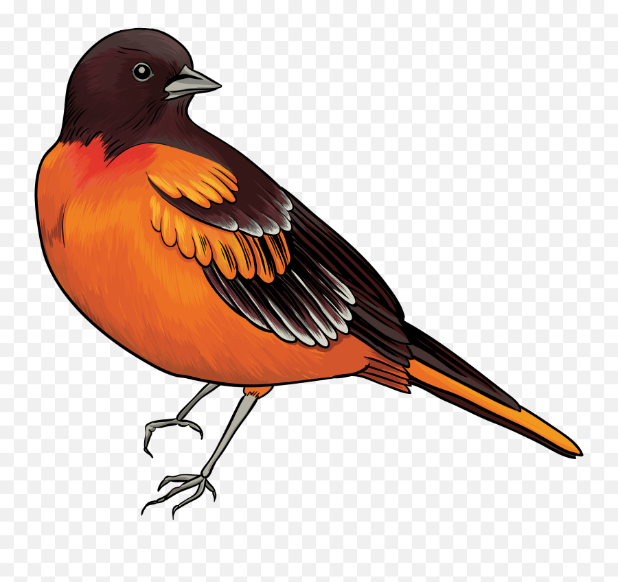 61 Free Bird Clipart - Bird Clip Art Emoji,Bird Clipart Black And White
