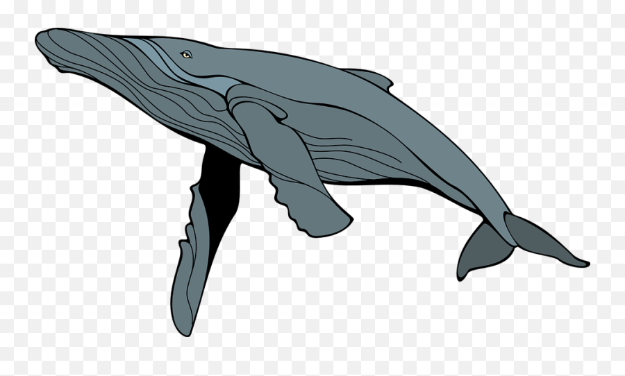 Jonah And The Whale Clipart - Clip Art Library Emoji,Jonah Clipart