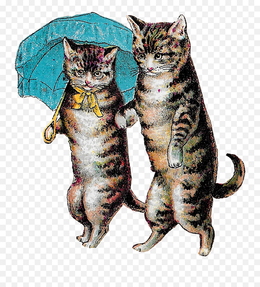 Antique Victorian Cats Clipart Download Emoji,Cats Clipart