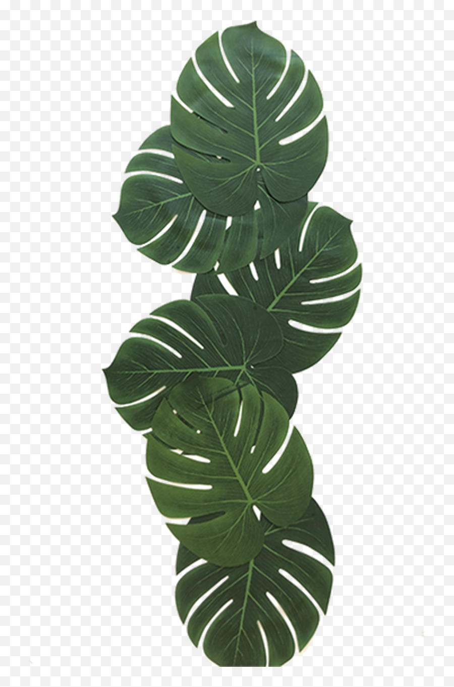 Tropical Leaves - Vertical Emoji,Tropical Leaf Png