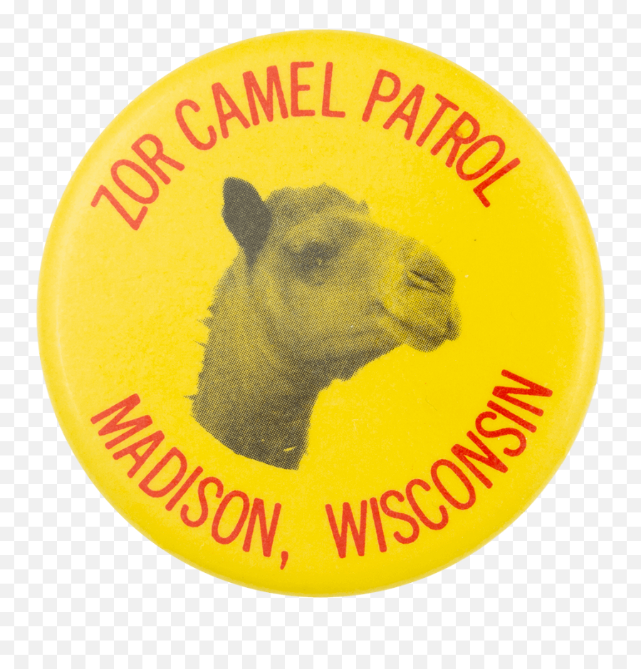 Zor Camel Patrol Busy Beaver Button Museum - Camel Emoji,Camel Logo