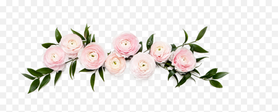 Aesthetic Rose Pink Tumblr Pink Flower Background - Largest Wedding Invite Pink Flowers Emoji,Tumblr Flowers Transparent