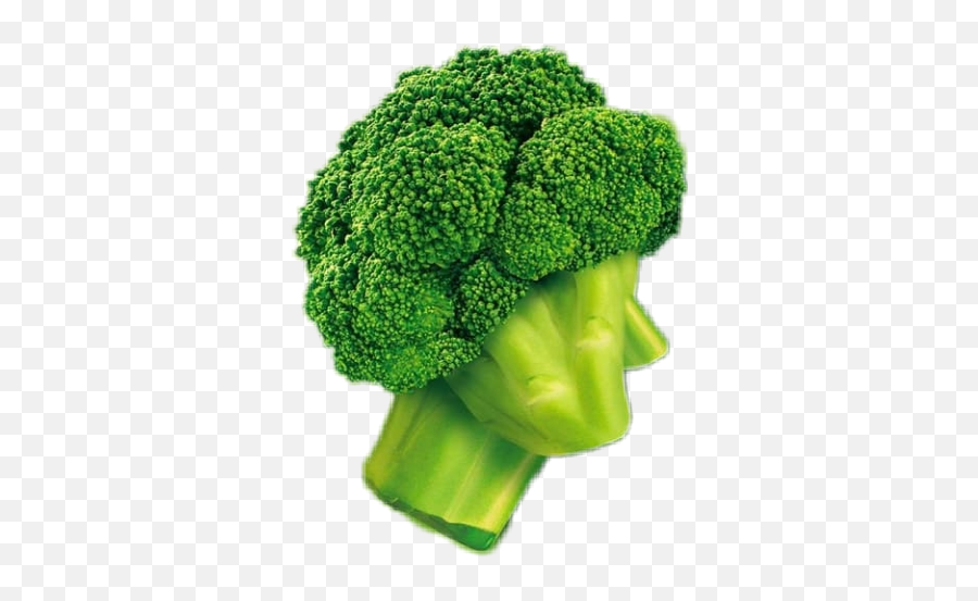 Brokkoli Vegetable Green Sticker By Lifeofwonder Emoji,Broccoli Transparent Background