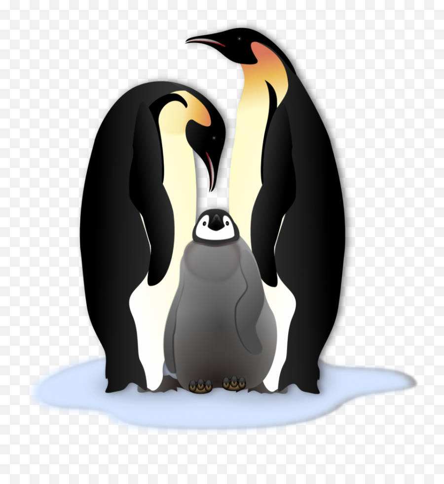 Penguins Clipart Mother Penguins - Printable Animal Adaptations Word Search Emoji,Penguin Clipart