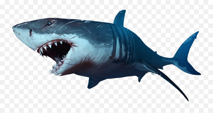 Shark Png Transparent - Shark Transparent Background Emoji,Baby Shark Clipart