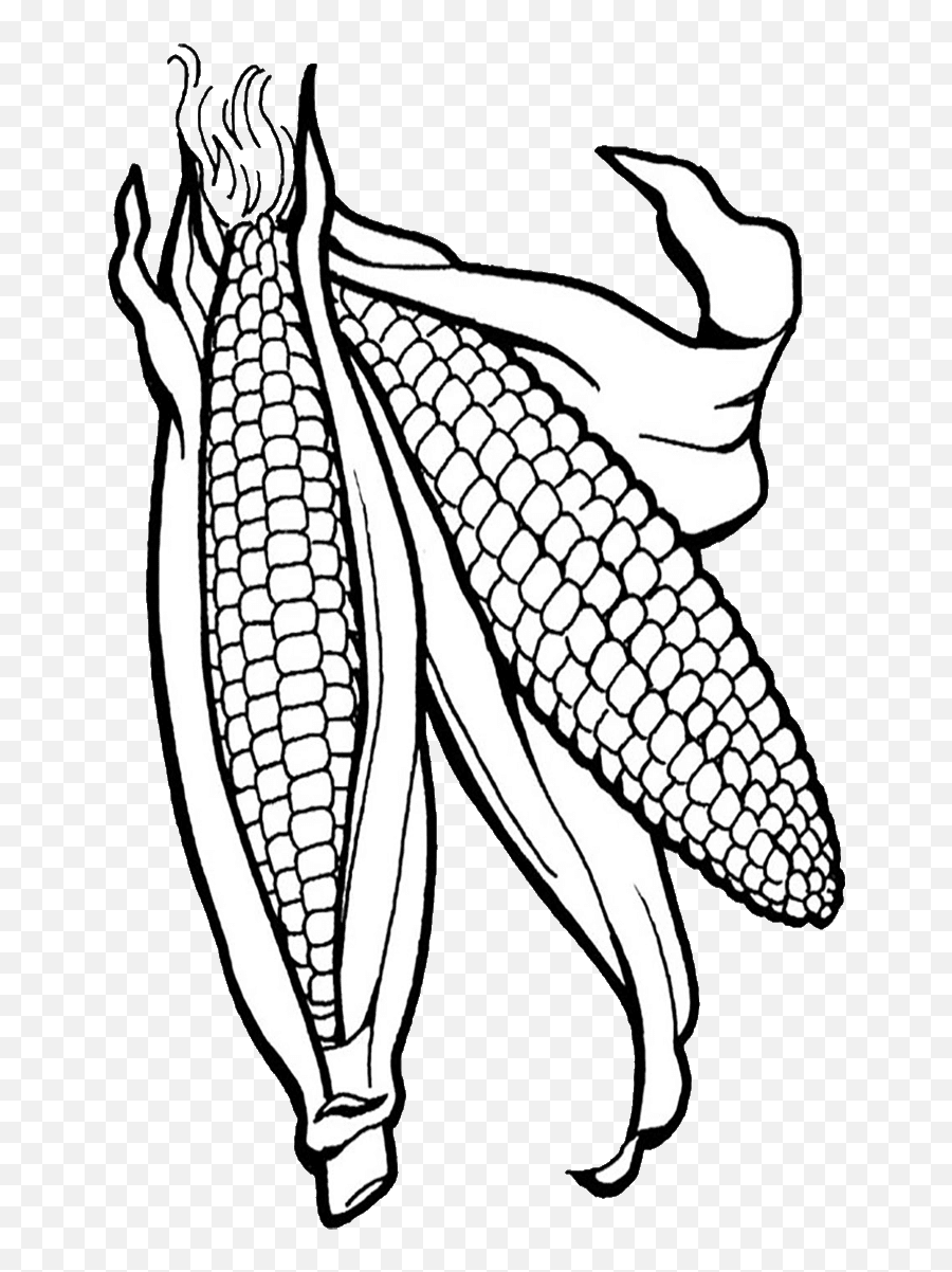 Corn Clipart Png Corn Clipart - Corn Coloring Page Corn Coloring Page Emoji,Corn Clipart
