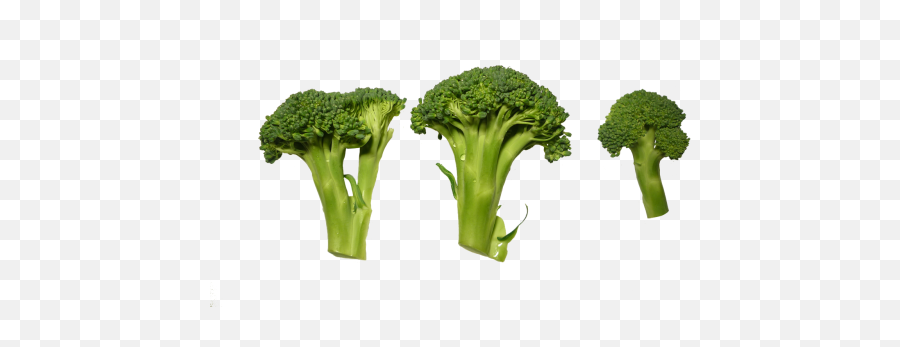 Broccoli Cauliflower Vegetable Food Public Domain Image Emoji,Broccoli Transparent Background