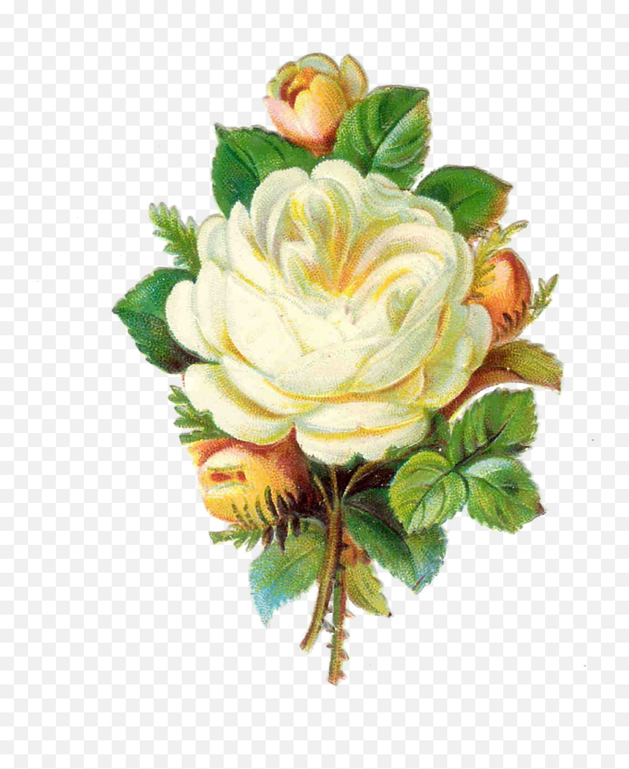 Vintage Flower Clipart Png - Clip Art Li 1138894 Png Transparent White Flowers Vintage Emoji,Vintage Clipart