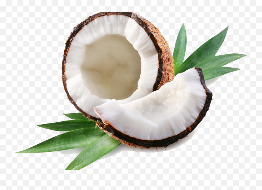 Coconut Png Transparent Images - Coconut Png Emoji,Coconut Png
