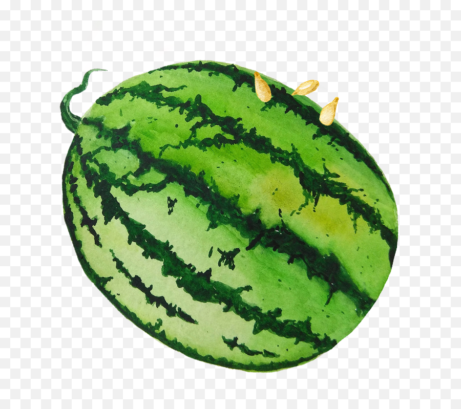 Watermelon Seeds U2013 88 Acres - Watermelon Emoji,Watermelon Transparent