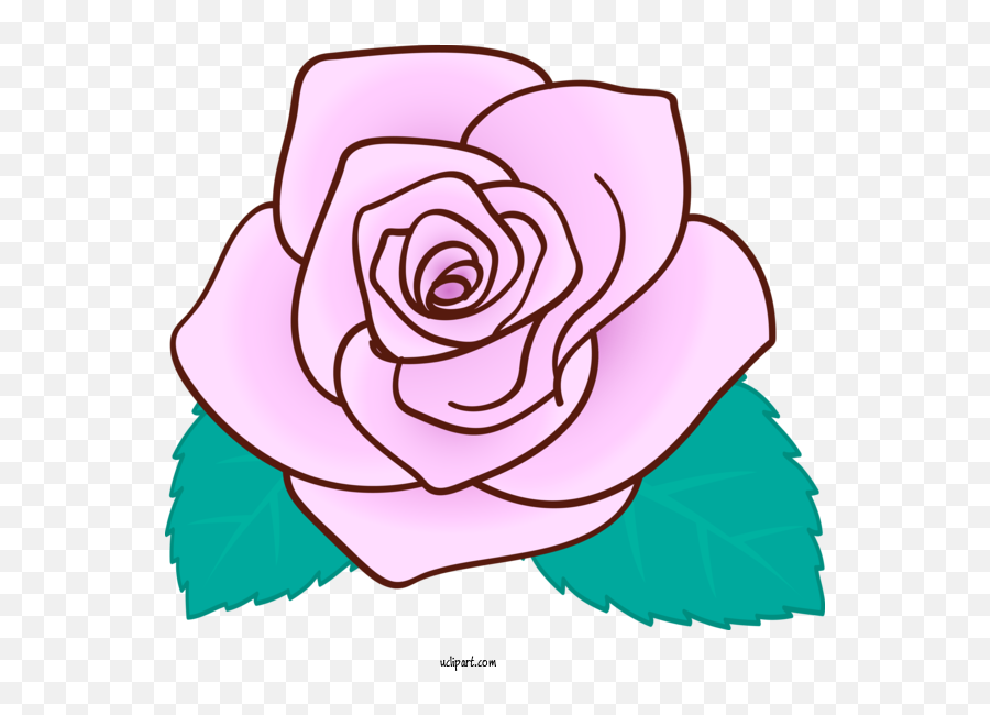 Flowers Rose Pink Rose Family For Rose - Rose Clipart Emoji,Pink Flowers Transparent