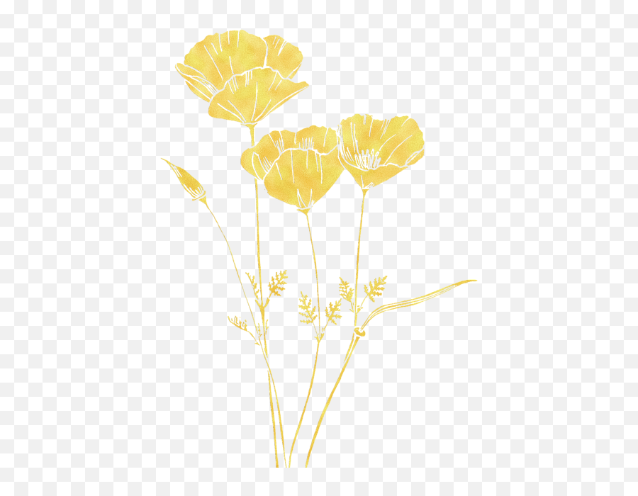 Golden California Poppy Onesie For Sale By Masha Batkova Emoji,Poppy Png