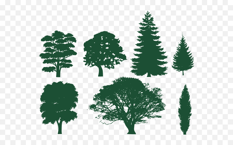 Family Tree Silhouette Roots Download - Trees Silhouettes Emoji,Tree With Roots Clipart