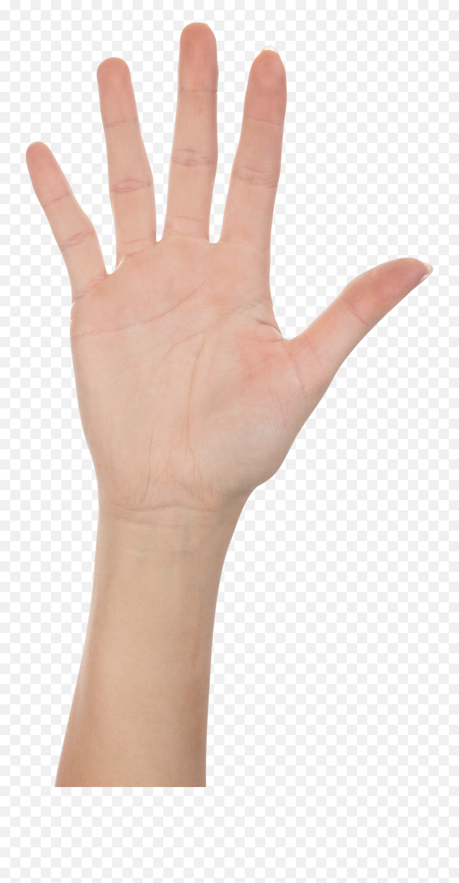 Hands Png Hand Image Free - Hi Hand Png Emoji,Hand Png