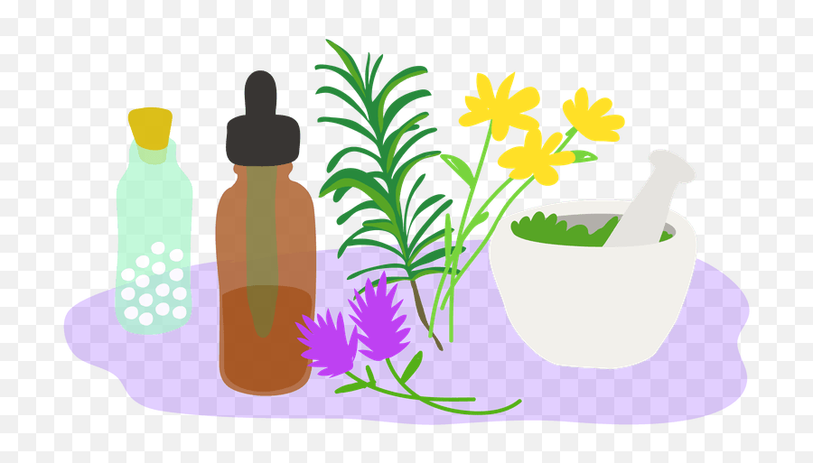 Library Of Natural Medicine Clip - Transparent Medicinal Plants Clipart Emoji,Medicine Clipart