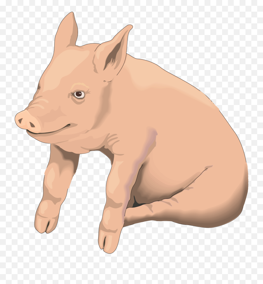 Free Pig Clipart Transparent Download - Pigs Clipart Transparent Background Emoji,Pig Clipart