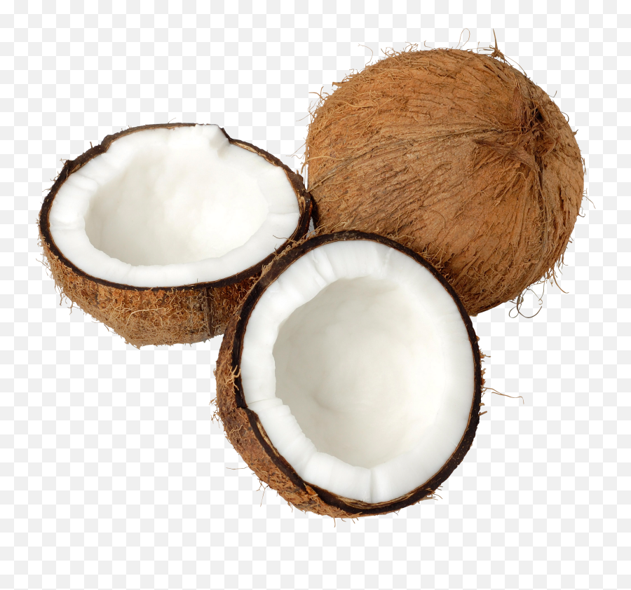 Coconuts Png Image - Coconut Png Emoji,Coconut Png