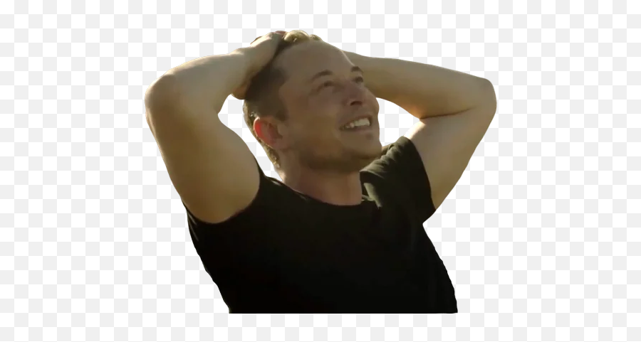 Telegram Sticker 39 From Collection Elon Musk - You Realize All Of Your Hard Work Emoji,Elon Musk Transparent