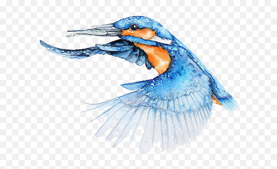 Bird Watercolor Painting Architect Illustrator - Bird Flying Flying Birds Watercolor Painting Emoji,Watercolor Png