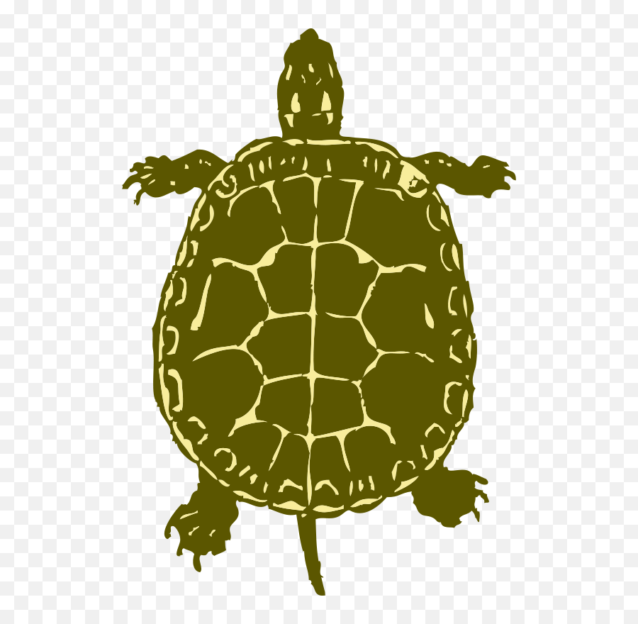 Turtle From Birds Eye View Transparent - Turtle Birds Eye View Emoji,Sea Turtle Clipart