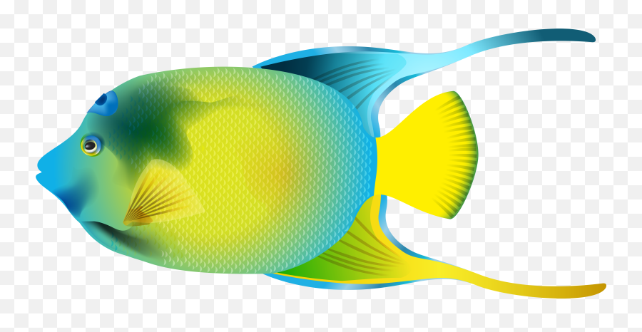 Free Angelfish Png Png Images - Transparent Angel Fish Png Emoji,Angelfish Clipart