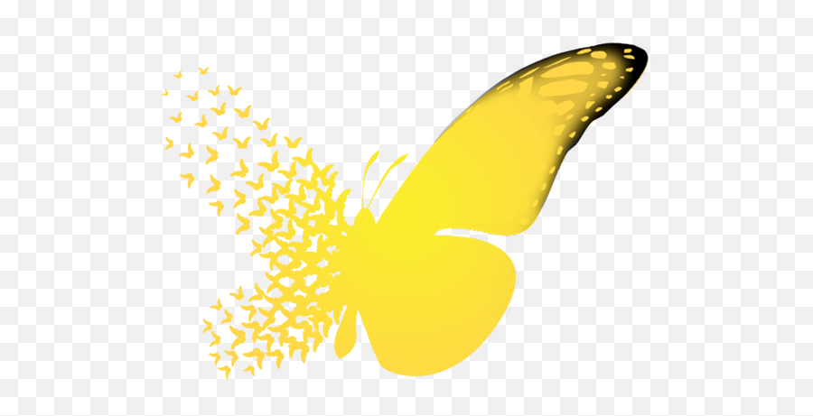 Butterfly Transformation - Transparent Butterfly Effect Butterfly Wings Butterfly Emoji,Butterfly Logo