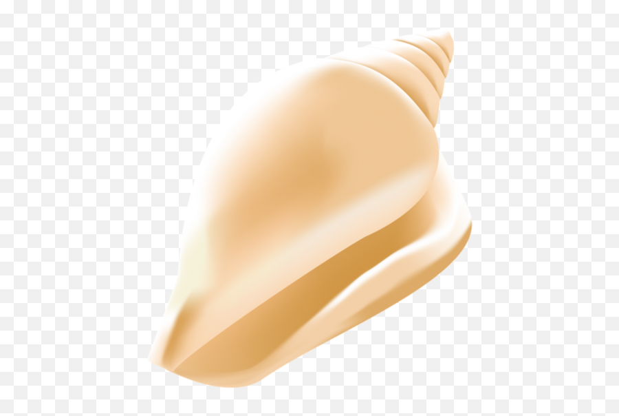 Seashell Png Transparent Background Image For Free Download Emoji,Seashell Clipart Png