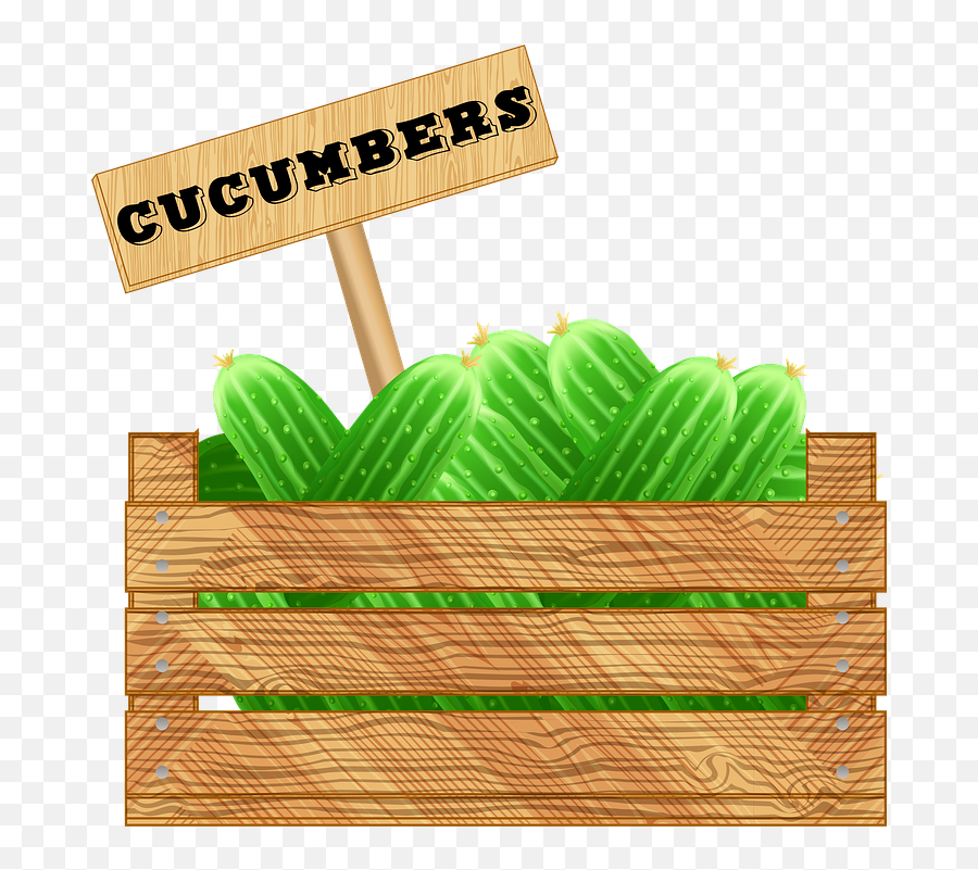 Free Photo Cucumbers Wooden Box Crate Of Vegetables - Max Pixel Emoji,Fruit Stand Clipart