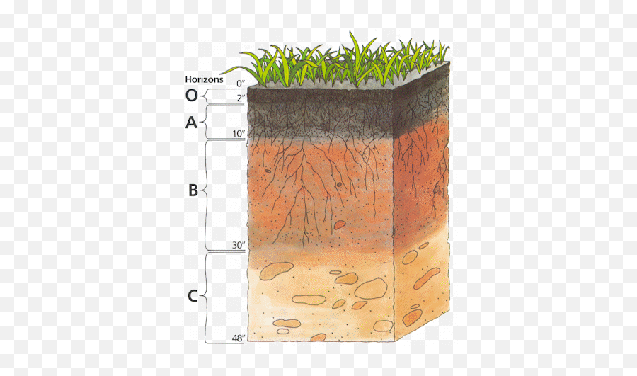 Soil Profile - Pike County Conservation District Emoji,Natural Resources Conservation Service Logo