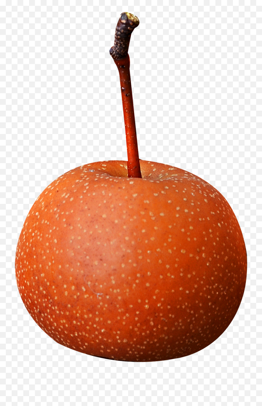 Asian Pear Fruit With Stem Png Image - Pngpix Emoji,Stem Png