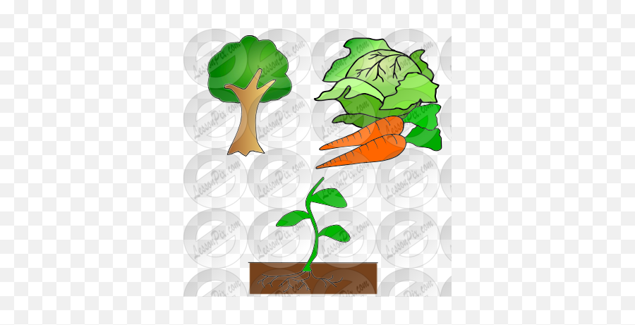 Plants Picture For Classroom Therapy Use - Great Plants Emoji,Shrubs Clipart
