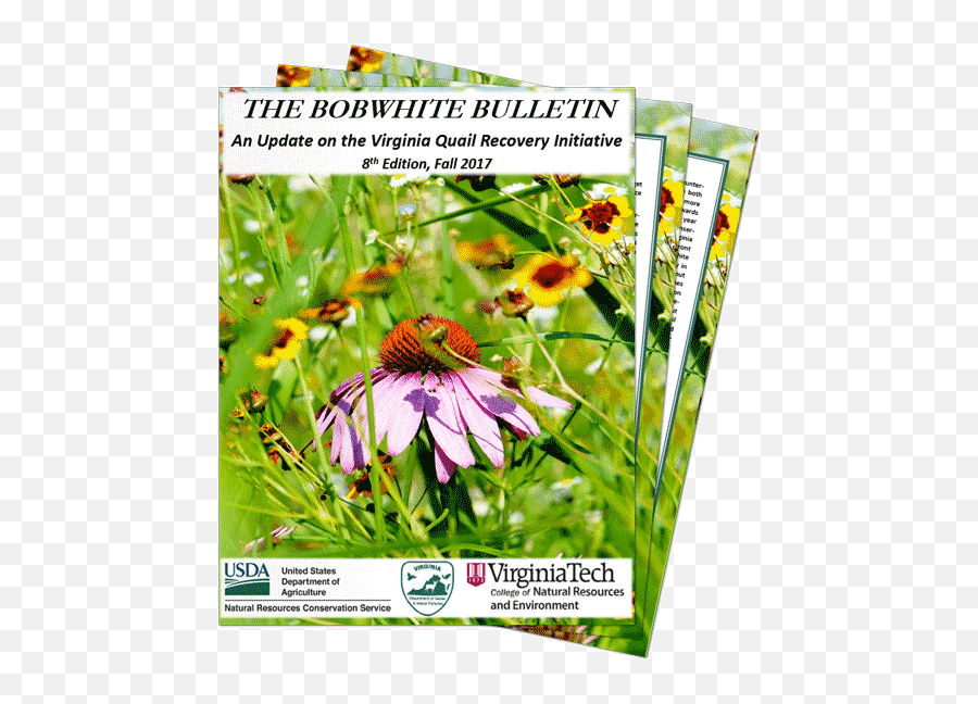 Virginiau0027s Fall 2017 Bobwhite Bulletin - National Bobwhite Emoji,Natural Resources Conservation Service Logo