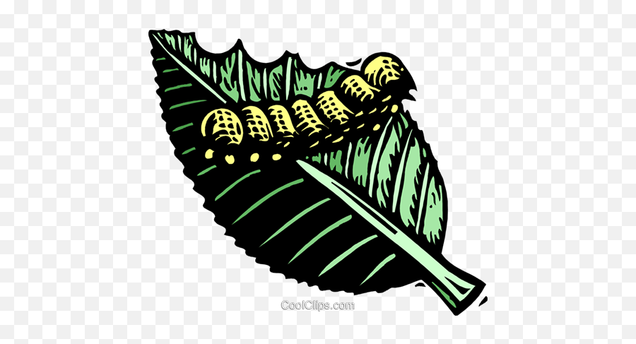 Caterpillar On Leaf Royalty Free Vector Clip Art Emoji,Caterpillars Clipart