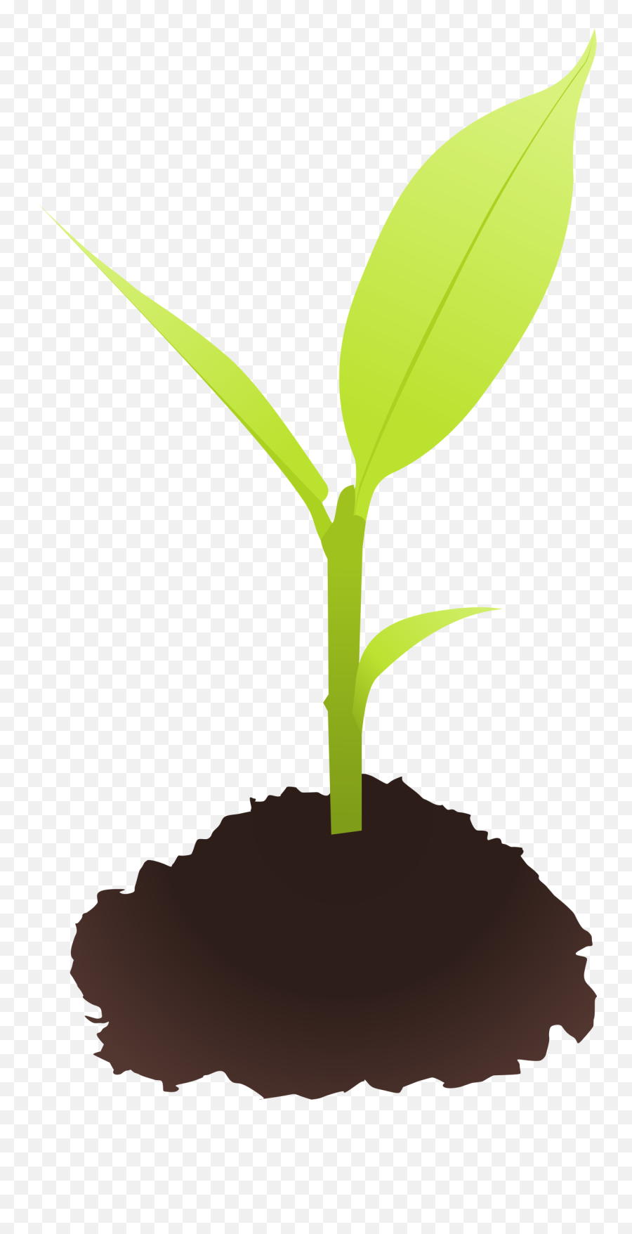 Dirt Clipart Small Plant Dirt Small Plant Transparent Free - Plant Sprout Clip Art Emoji,Plant Clipart