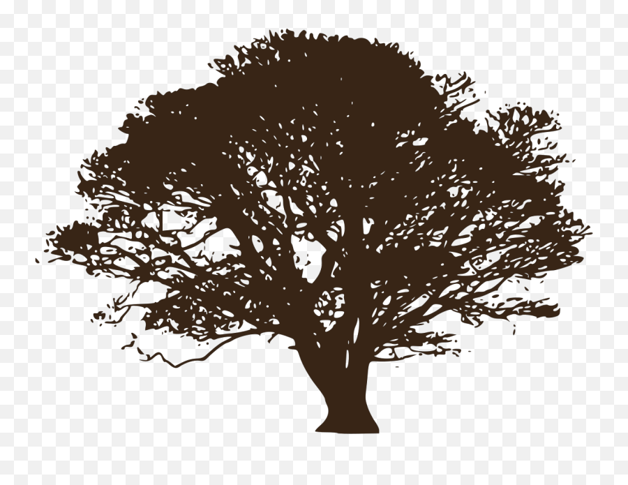 Oak Tree Svg Vector Oak Tree Clip Art - Vector Black Oak Tree Emoji,Oaktree Clipart